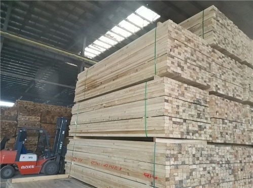 鐵嶺建筑木方、木跳板與落葉松批發 建材市場的可靠選擇